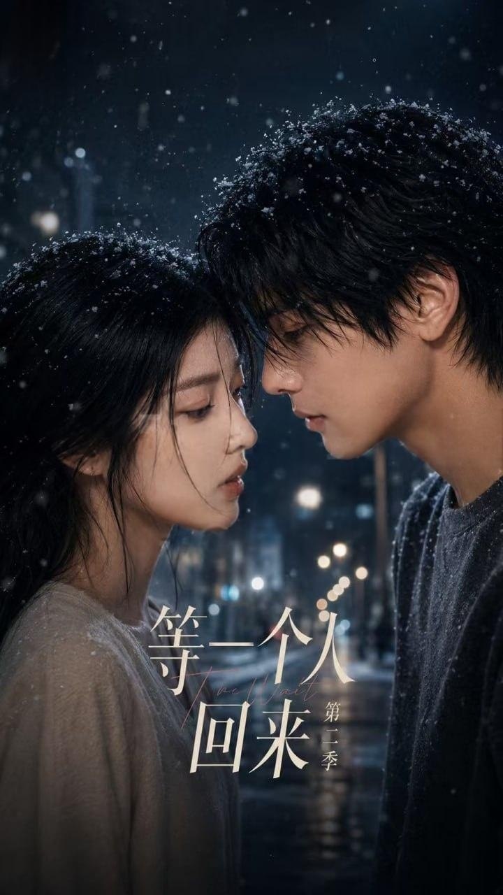 等一个人回来 第二季