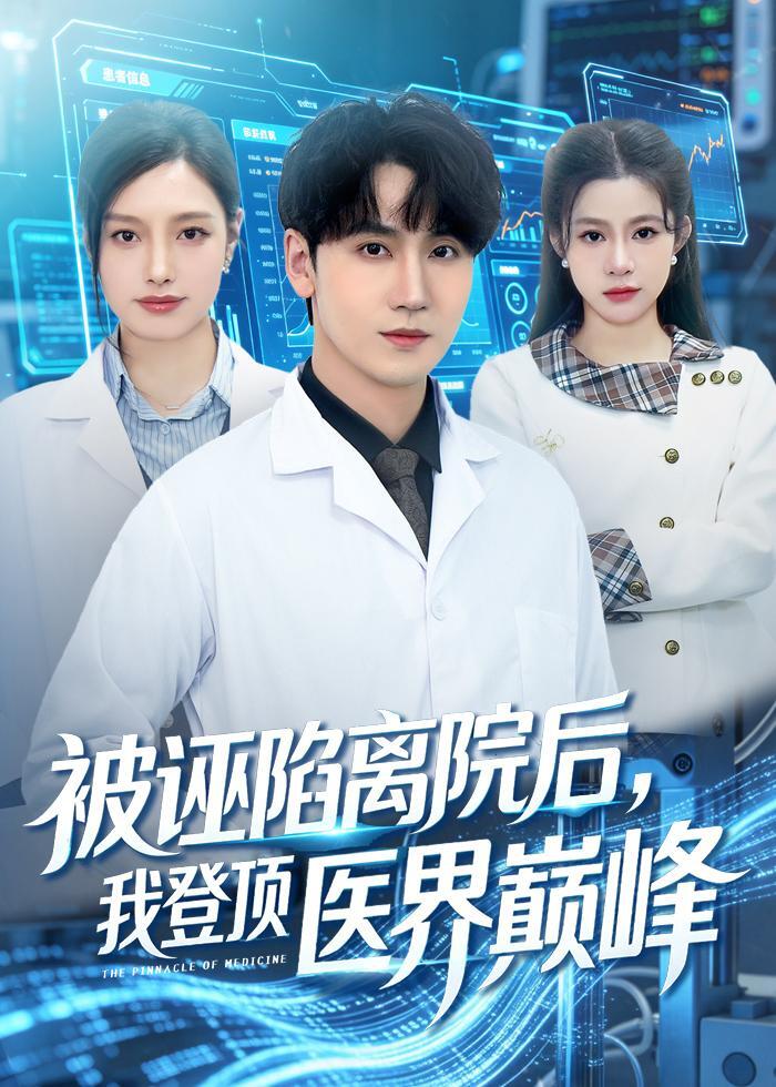 被诬陷离院后我登顶医界巅峰