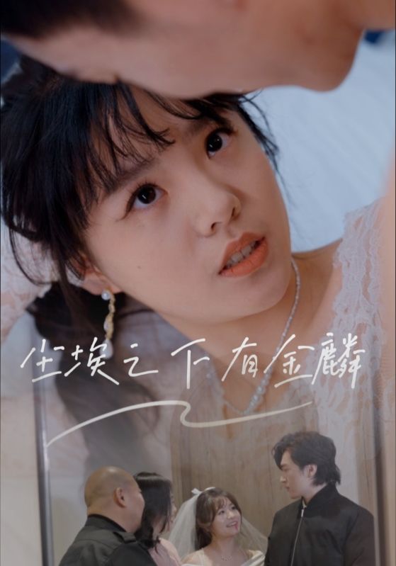 尘埃之下有金鳞